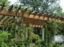 Decoração com Pérgolas no Jardim