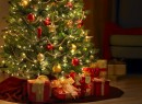 Decoração de Natal com pisca-pisca 4 Créditos:experienceoutdoorliving.com