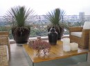 vaso-vietnamita-escuro Créditos: decorandocomclasse.com.br